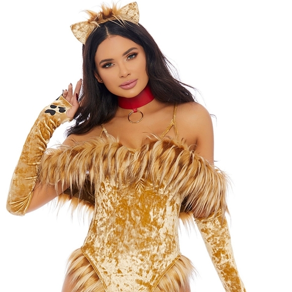 ALMOST GONE‼️ A Scaredy Lion Sexy Movie Character Costume - Picture 2 of 3